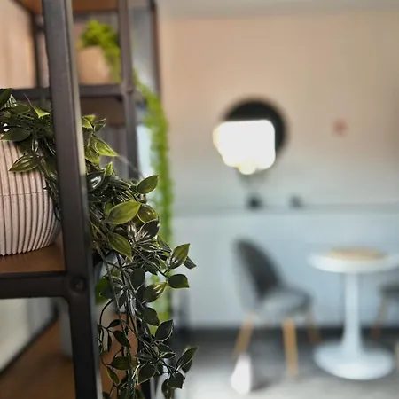 Djulbasca, Cozy Tiny House Free Parking, Near Old Town Holiday home