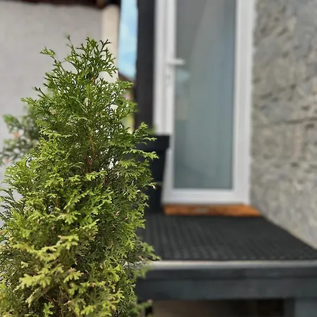 Holiday home Djulbasca, Cozy Tiny House Free Parking, Near Old Town